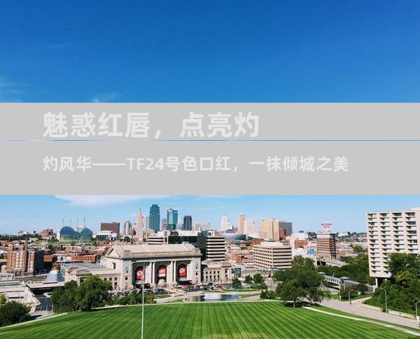 魅惑红唇，点亮灼灼风华——TF24号色口红，一抹倾城之美